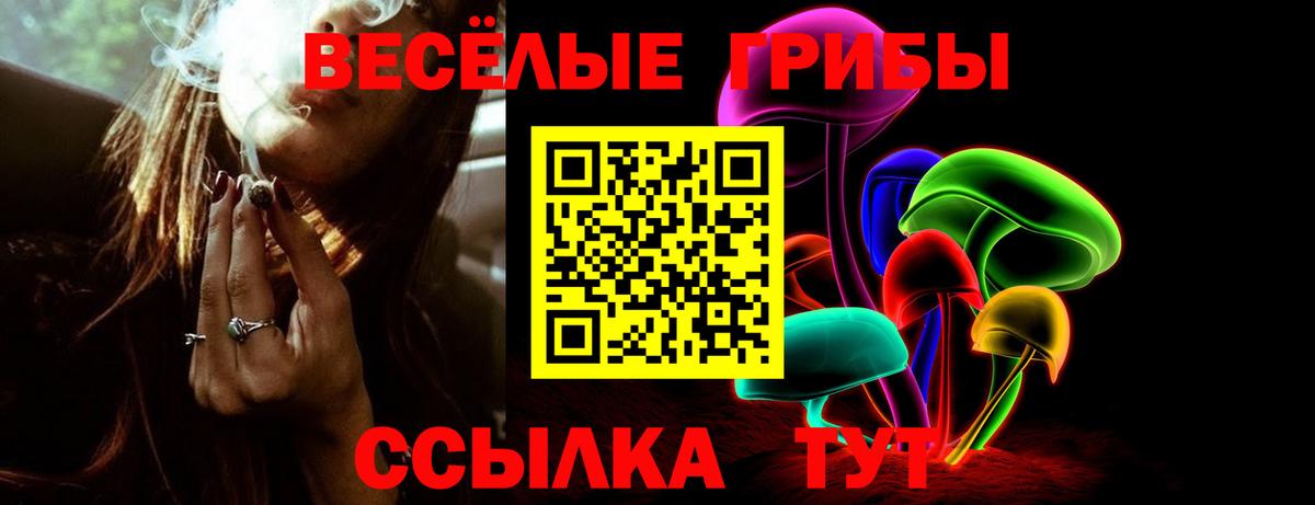 Галлюциногенные грибы Psilocybine cubensis  Галлюциногенные грибы Magic Shrooms  Вход с VPN  Вичуга 